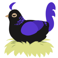 Petroica, a sable and indigo chicken with a neck-band pattern