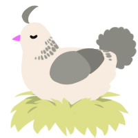 uhh, a cream and ash chicken with a neck-band pattern