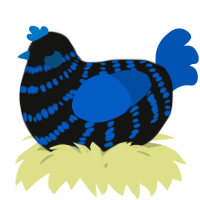 A black and ultramarine chicken with a bar pattern