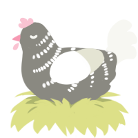 A ash and white chicken with a half-bar pattern