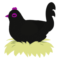 SLAY anegg, a black chicken with a double-lace pattern