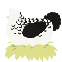 (unnamed), a white and sable chicken with a half-lace pattern