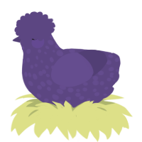 Afton, a overcast chicken with a speckle pattern