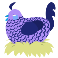 A lilac and navy chicken with a lace pattern