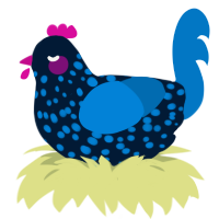 Zhorter, a tumblr and sapphire chicken with a speckle pattern