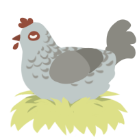 Rock n dirt, a silver and ash chicken with a half-lace pattern