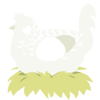 Sugar Lace, a white chicken with a half-lace pattern