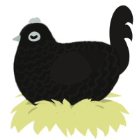 Paralysis, a black and sable chicken with a lace pattern