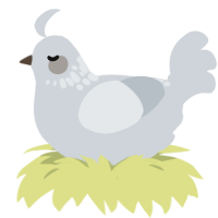 A mist chicken with a neck-speckle pattern