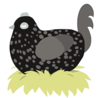 A sable and grey chicken with a speckle pattern