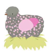 A ash and pink chicken with a speckle pattern