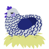 A mist and navy chicken with a lace pattern