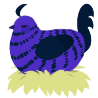 A indigo and tumblr chicken with a bar pattern