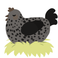 neat number, a grey and sable chicken with a speckle pattern