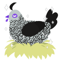 Midnight Ruffles, a silver and sable chicken with a double-lace pattern