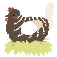 Nougat, a bark and cream chicken with a half-bar pattern
