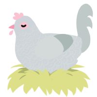 A mist and silver chicken with a double-lace pattern