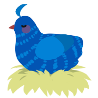 Daba Dee Daba Doo, a ultramarine and sapphire chicken with a bar pattern