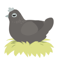 sad-, a grey chicken with a neck-speckle pattern