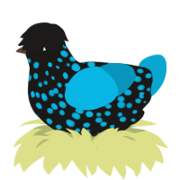 (unnamed), a sable and cerulean chicken with a speckle pattern