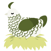 A white and olive chicken with a lace pattern