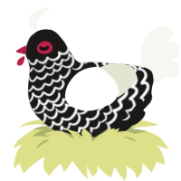 (unnamed), a sable and white chicken with a lace pattern