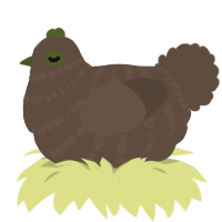 XXY bark, a bark chicken with a bar pattern