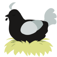 A sable and silver chicken