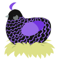 A black and blurple chicken with a lace pattern
