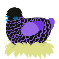 (unnamed), a black and blurple chicken with a lace pattern
