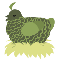 Tess, a olive and chartreuse chicken with a lace pattern