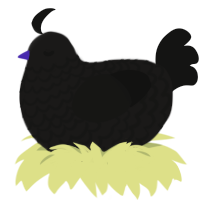 speak no evil, a sable and black chicken with a lace pattern