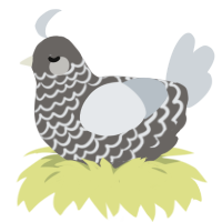 (unnamed), a grey and mist chicken with a lace pattern
