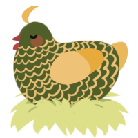 26800 broccoli, a olive and honey chicken with a lace pattern
