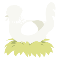 the inbetween, a white chicken with a neck-speckle pattern