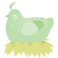 Glupin, a gluppy chicken with a half-lace pattern