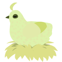 Key Lime Pie, a apple and lemon chicken with a speckle pattern