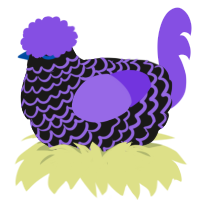 Enderman, a sable and blurple chicken with a lace pattern