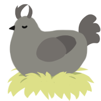 Bramble, a ash and grey chicken