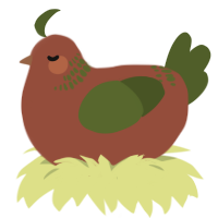 Pine, a russet and olive chicken with a neck-band pattern