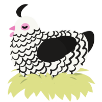 (unnamed), a white and sable chicken with a lace pattern