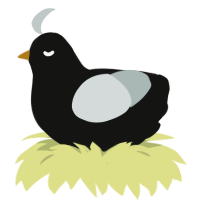 Penguin, a black and silver chicken