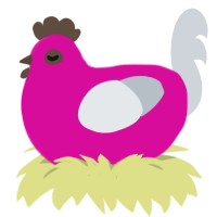 UNCERTAIN, a fuchsia and mist chicken