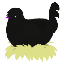 Forever Foreward, a black chicken with a lace pattern