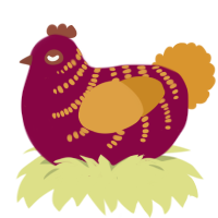 Pablo, a maroon and orange chicken with a half-bar pattern