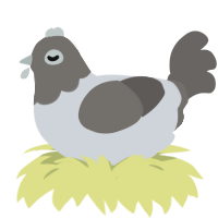 (unnamed), a mist and grey chicken with a head pattern