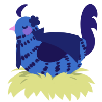 Marie, a gold and lemon chicken with a bar pattern
