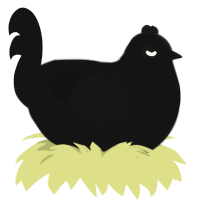 Him, a black chicken with a speckle pattern
