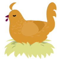 Ochre, a orange chicken with a half-lace pattern