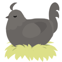 very grey, a grey chicken with a head pattern